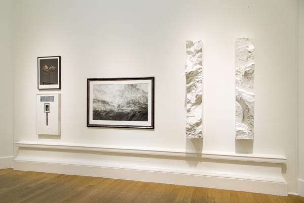 Install credit: Douglas McCaffrey