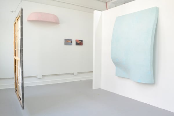 David Kennedy, Green Lands, installation view, 2017