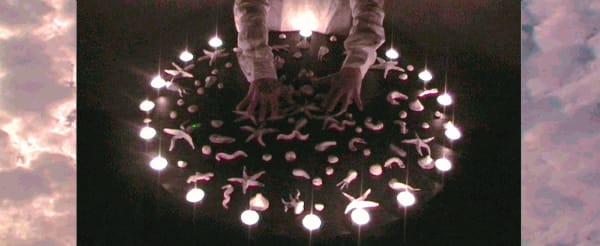 Anneli Holmstrom, Flood, Film Still