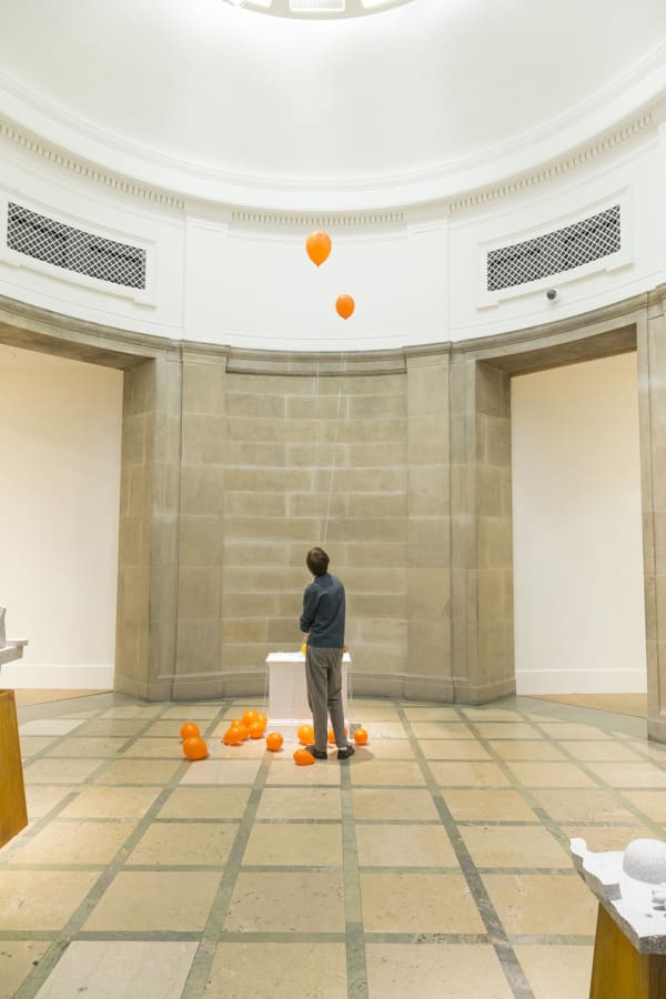 Install Images Douglas Mccaffrey 7