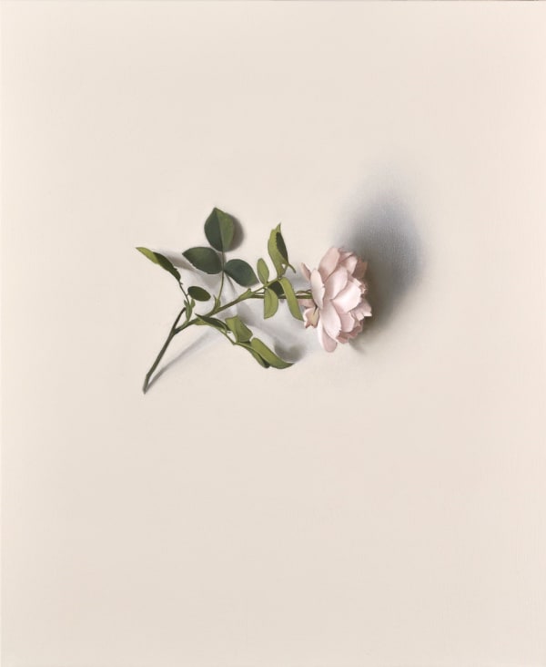 Alison Watt RSA - Balcarres, 2019-20