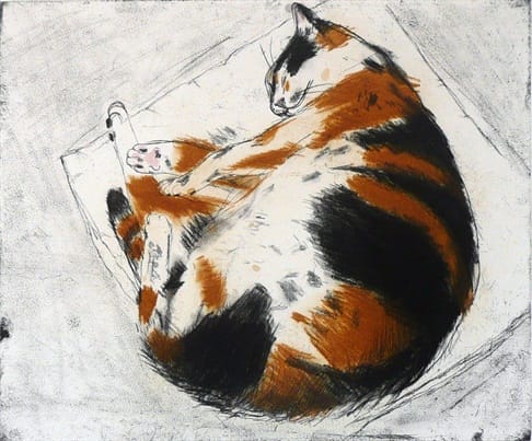 Elizabeth Blackadder RSA - Melon and Cloth, Not dated; circa 2010