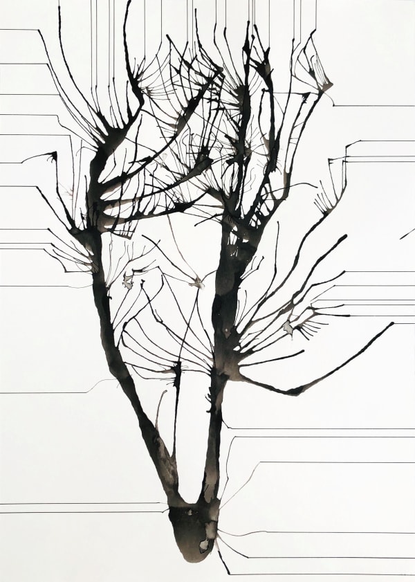 Annie Cattrell RSA - Levels I