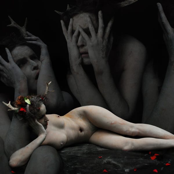 RSA New Contemporaries 2010