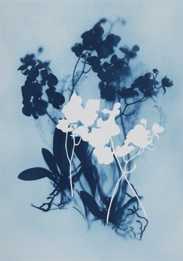 The Artist’s Garden