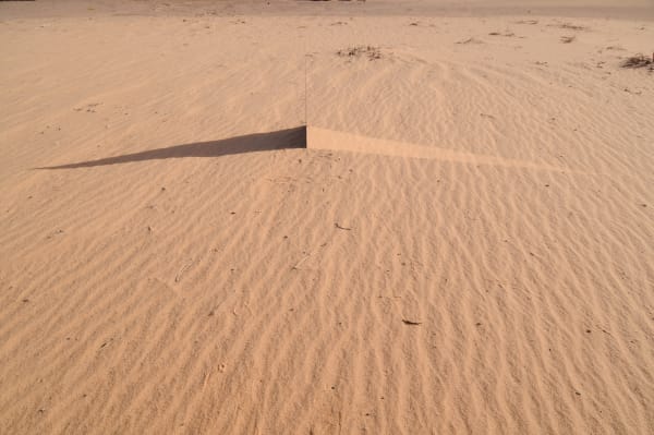 191st RSA Annual Exhibition