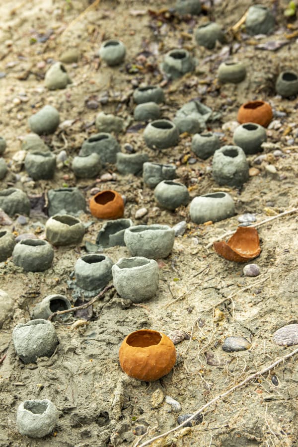 RSA Graduate Travel Award, Deadline has passed