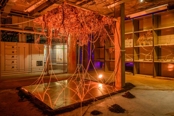 Evie Rose Thornton, Future Landscapes: Roots