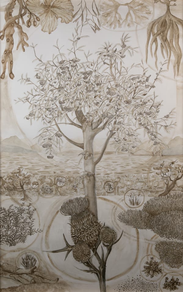 Kirsty E. MacDonald, Nàdair: Rowan