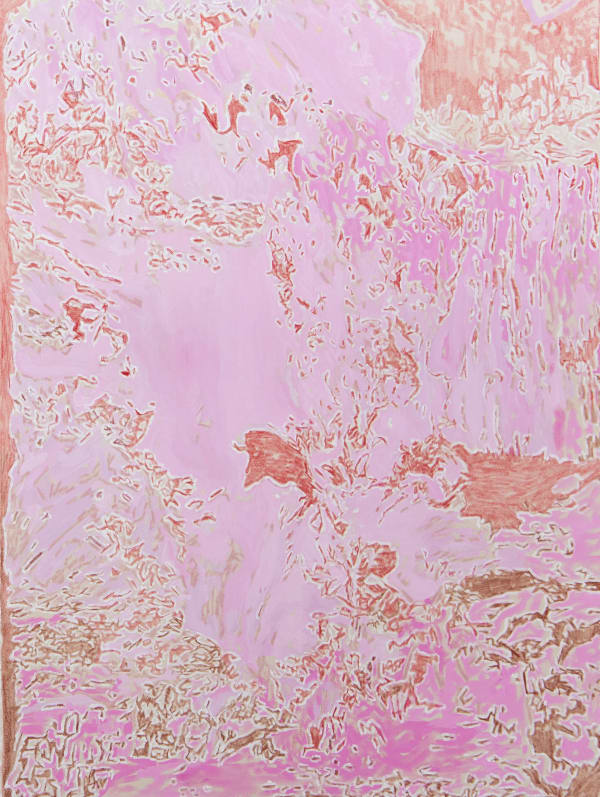 Lara Juneman, Pink