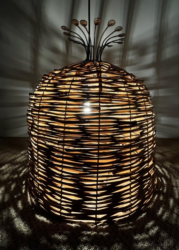 Amy Anna Graham, The Lampshade