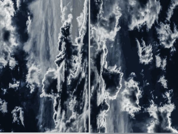 Manuela Marques, Phénomènes, 2018