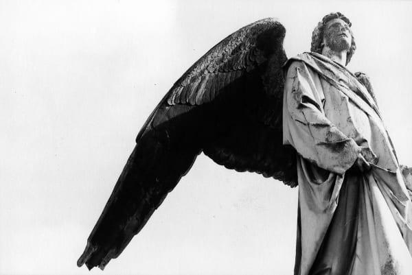 Renate Graf, The Angel of History III Vienna, 2010