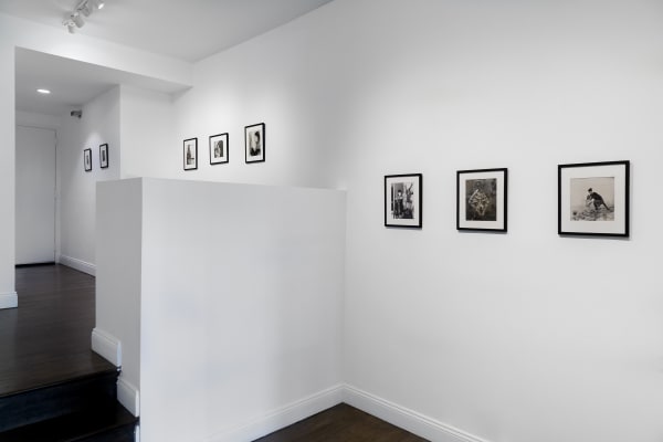 Ruiz Healy 20230308 O0A8059 1