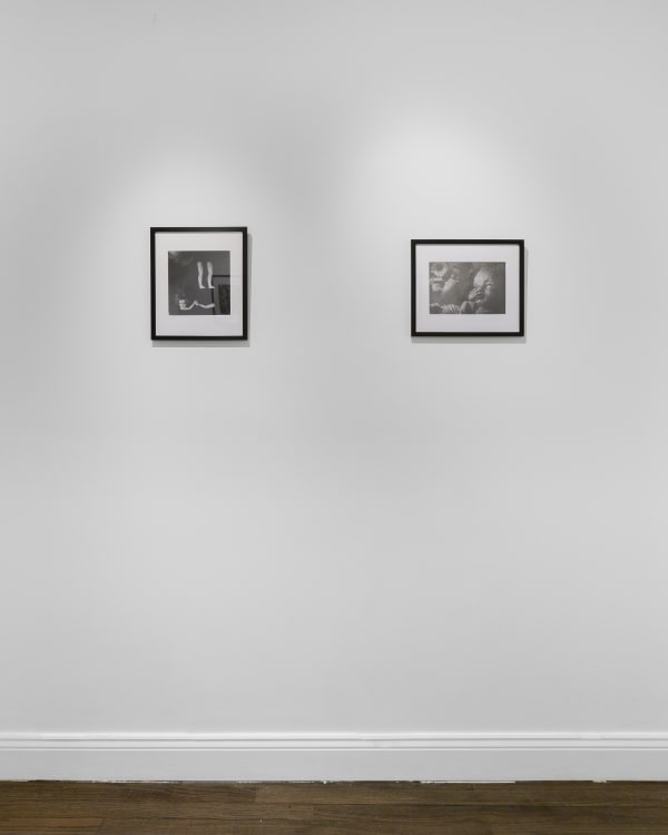 Ruiz Healy 20230308 O0A8083 1