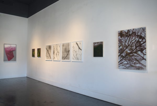 Installation images by Yadira Silva