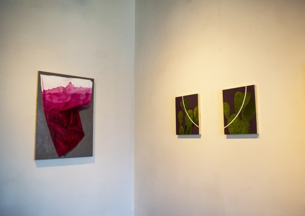 Installation images by Yadira Silva