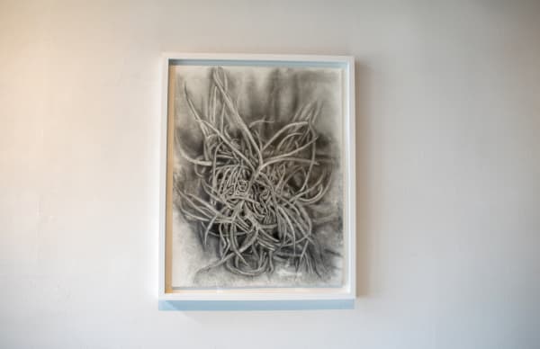 Installation images by Yadira Silva