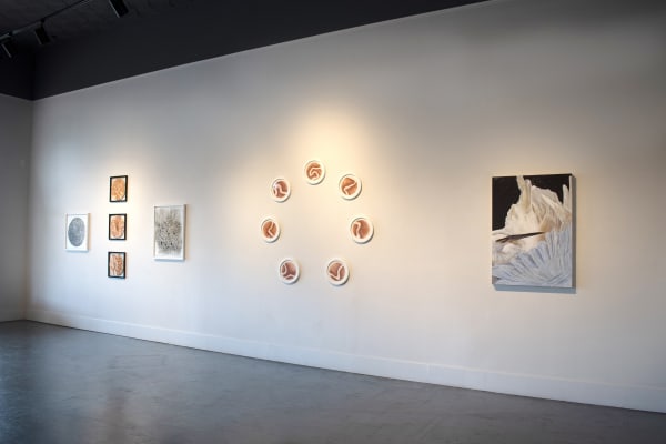 Installation images by Yadira Silva