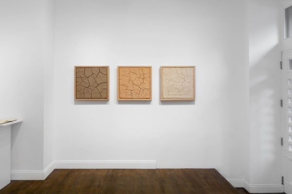 Installation images by Daniel Terna
