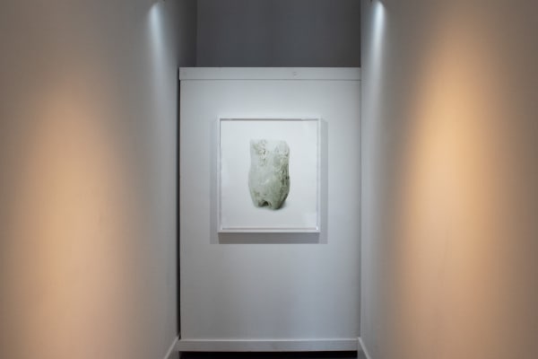 Installation Images by Yadira Silva