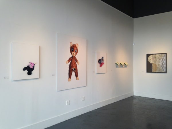 Installation view of Aesthetic Encounters in 2015