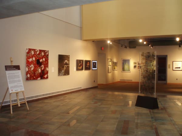 P1010342