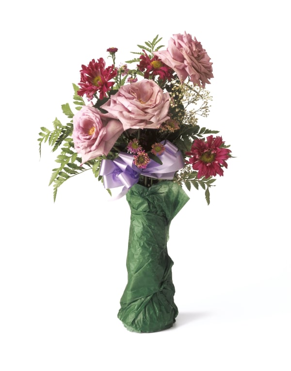 Chuck Ramirez Quarantine: Green Paper, 2000, 2011 Pigment inkjet print 46 x 34" 116.8 x 86.4 cm Ed. of 6