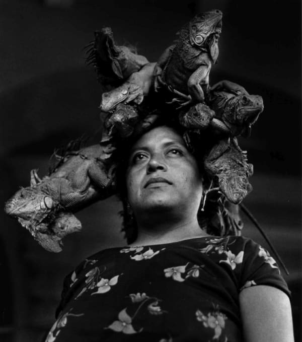 Graciela Iturbide, Nuestra Señora de las Iguanas (Our Lady of the Iguanas), 1979, gelatin silver print, 10 × 8″.