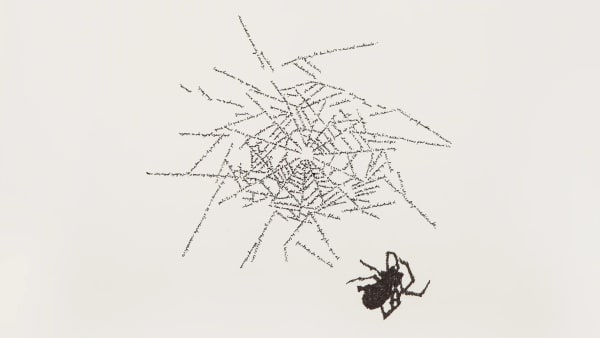 Johanna Calle Colombian, Sin título (Arañas) Antiquus editores, Bogotá, Colombia, 2015
