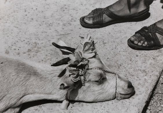 Artwork Image: Graciela Iturbide, La Danza de la Cabrita, antes de la Matanza, La Mixteca, 1992, 2019 Gelatin Silver Prints, 16 x 20 x 0