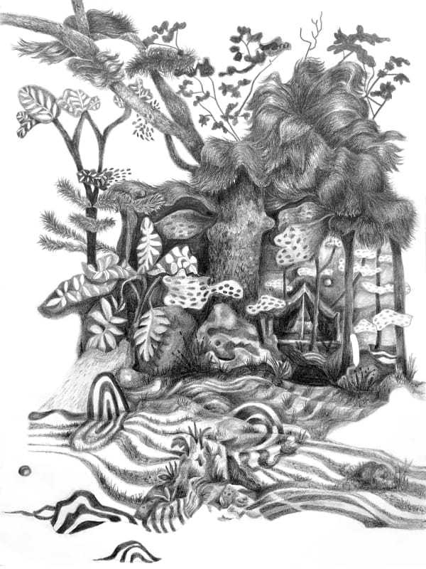 KKate Terrell, Pollux at Dusk, 2017-8, Signed, titled, and dated on the reverse, Graphite on vellum 11 x 9 in, 27.9 x 22.9 cm