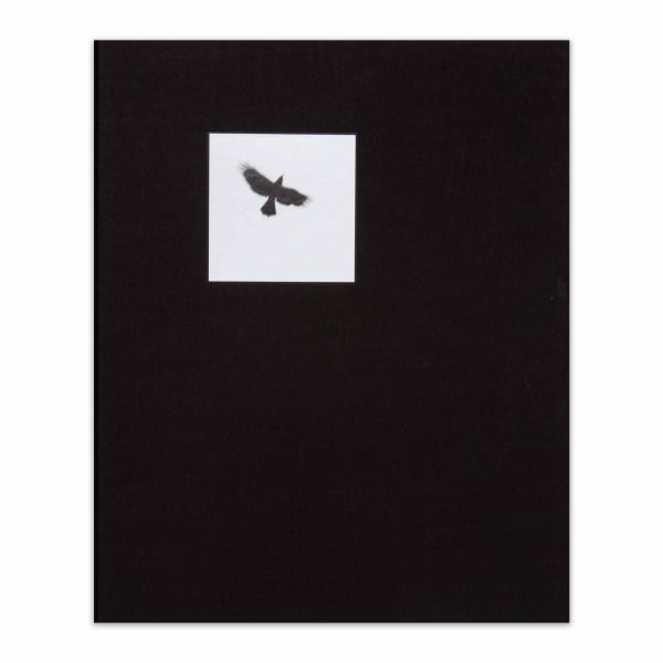 Graciela Iturbide: Pajaros