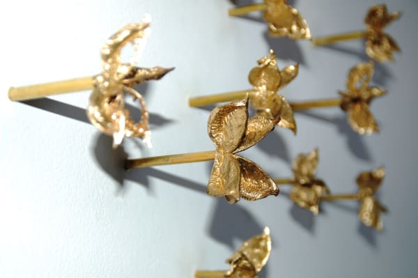 Plurality of Isolations San Antonio