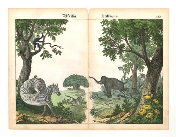 DANIEL HOROWITZ - HIPPOTIGRIS SPIRALIFORMIS - 2016 - GOUACHE, COLLAGE, ANTIQUE LITHOGRAPH - 40 X 30 CM