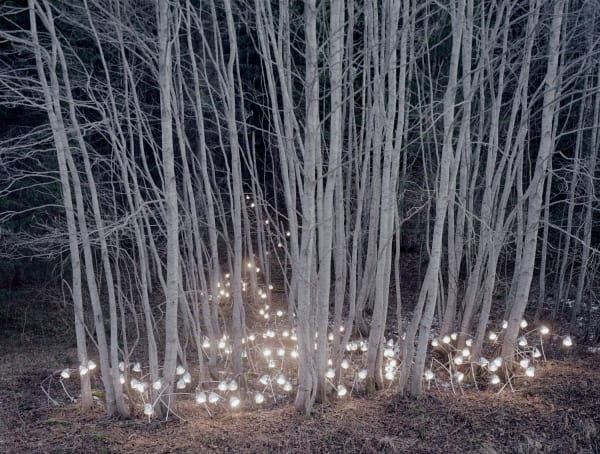 RUNE GUNERIUSSEN - QUALITY OF PRESENT INTERACTION - 2014 - DIGITAL C-PRINT ON ALUMINIUM/DIBOND/LAMINATE - 198 X 150 CM (EDITION 1 OF 5)