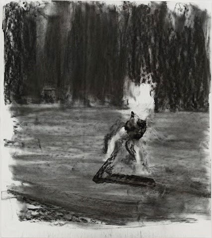 SEBASTIAN HOSU - FROM THE 'OUTSCAPE' SERIES - 2016 - CHARCOAL ON PAPER - 46 X 43 CM