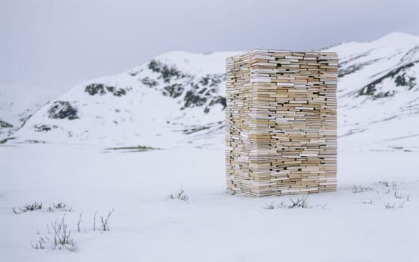 RUNE GUNERIUSSEN - SUSTAINED SUBSTANCE - 2014 - C-PRINT ON ALUMINIUM - 60 X 90 CM (EDITION 1 OF 5)