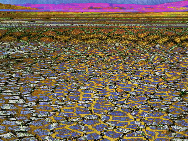 Alisa Singer, Drought, 2020
