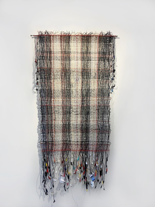 Dianne Platner, The Shroud, 2022