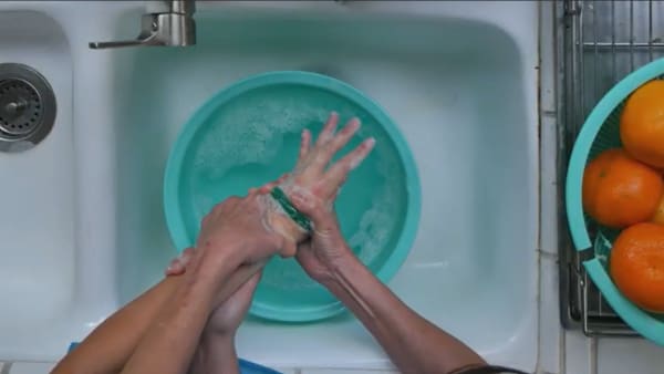 Elaine Nguyen Jade: Protection & Permanence 2024 LISTEN TO THE AUDIO DESCRIPTION OF THE ARTWORK→ ACCESS THE VIDEO ON VIMEO→