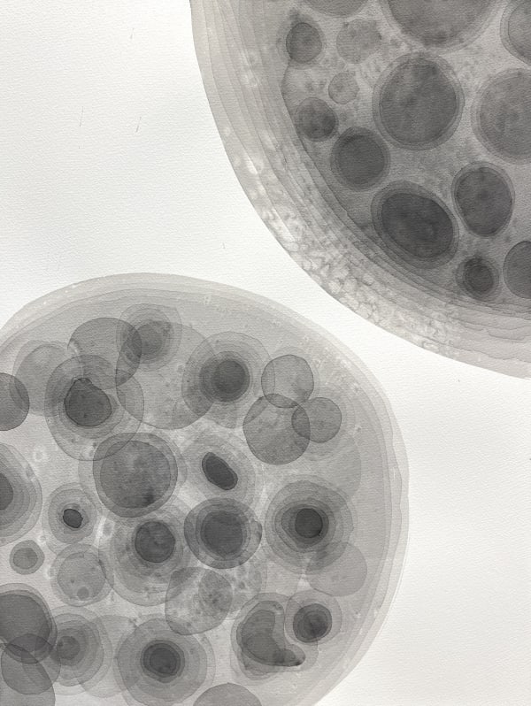 dAniel Alvarado-Arias, Meditation in Gray, 2024