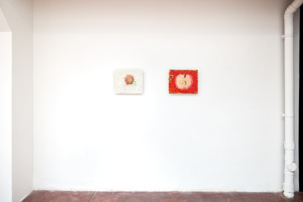 Instal shot, リンゴの中に種はあるのか？(Are there seeds inside the apple?), May 2025, London, UK