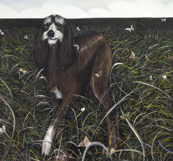 Alessandro Miotti, Hound, 2023