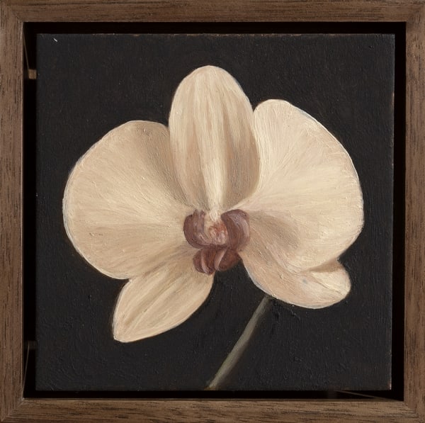 Max Xeno Karnig, Orchid, 2025