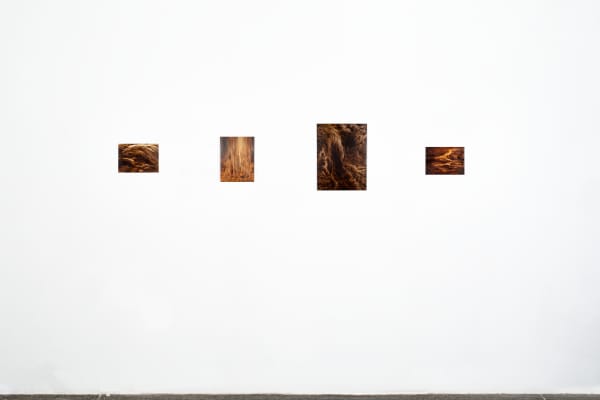 Caught in the Act Ava Markle