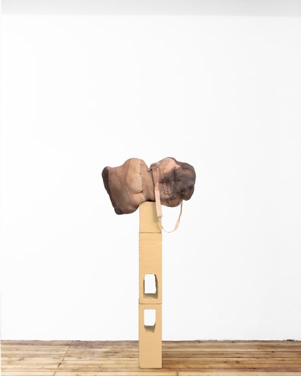 Patricia Ayres, Not yet titled, 2020