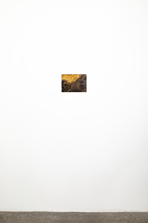 Ava Markle, Untitled, 2024