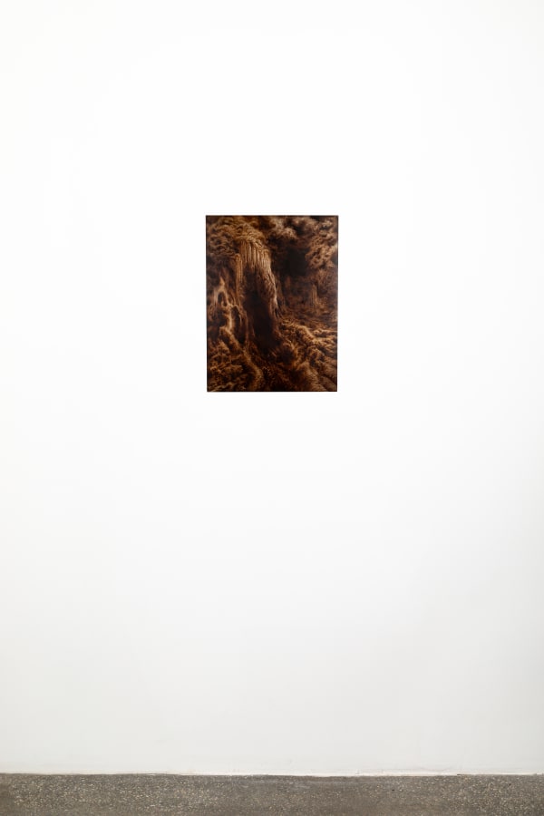 Ava Markle, Untitled, 2024