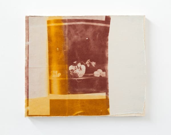 Jeremy Eaton, Permissibility (Apricot), 2017